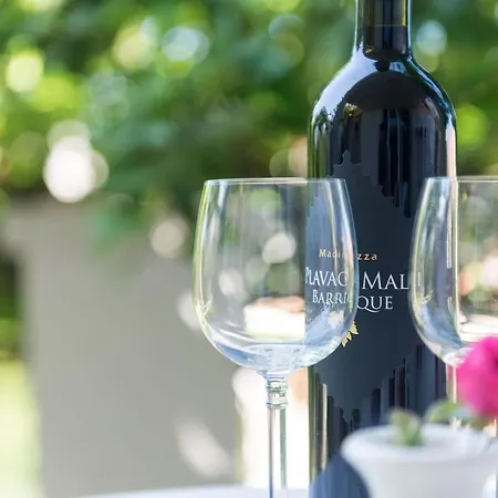 Gaura - Comfort One-bedroom With Terrace アパート