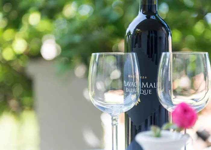 Gaura - Comfort One-bedroom With Terrace Apartamento